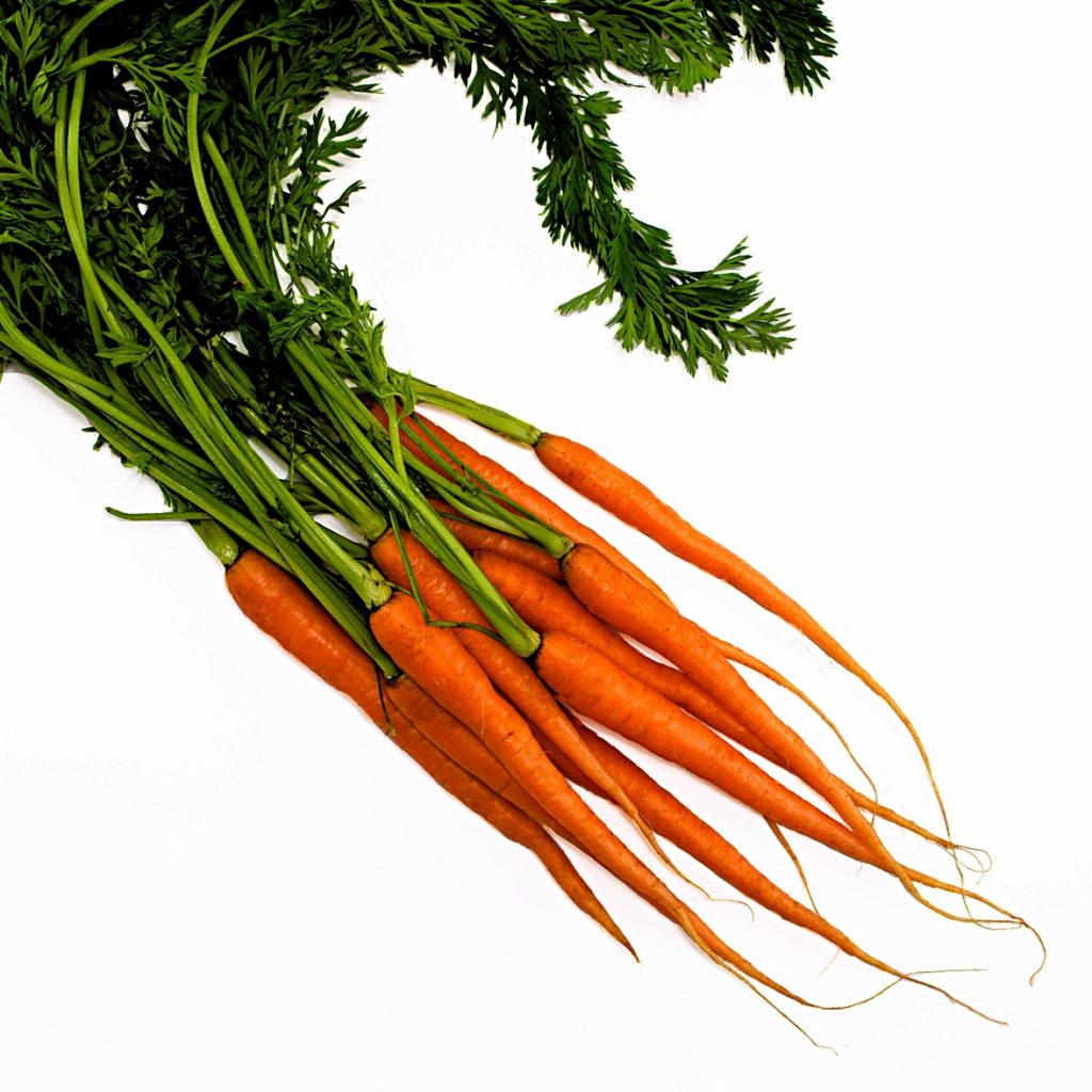 Carrot oil ingredient