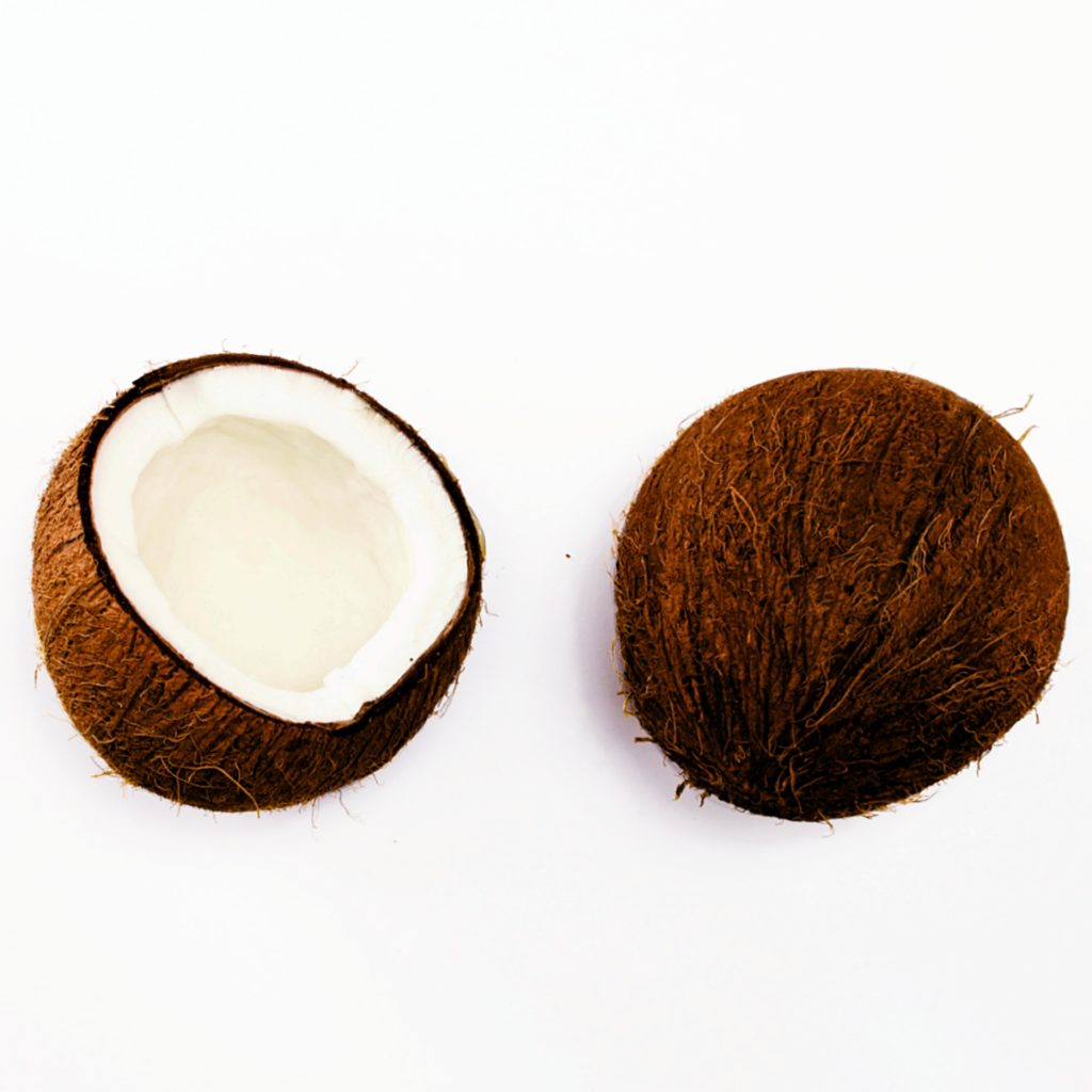 coconut ingredient